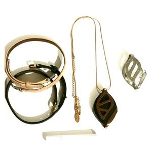 Bellabeat Leaf Urban Fitness Tracker